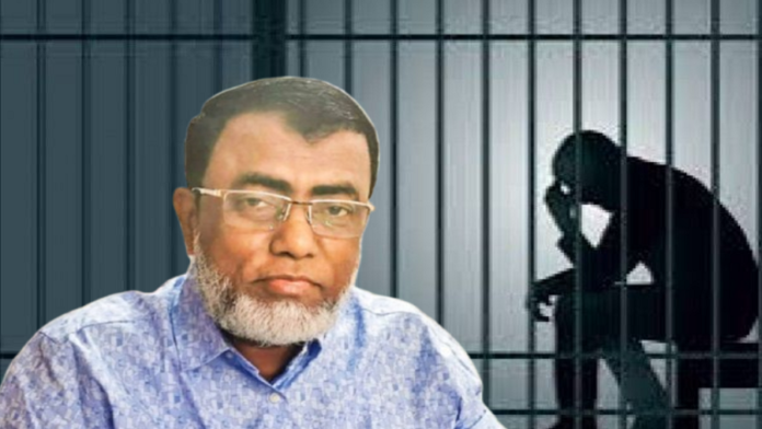 সার্ভেয়ার