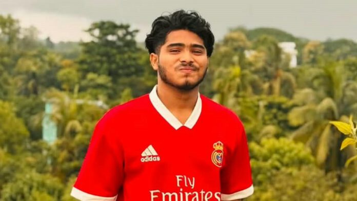 ডেভিড