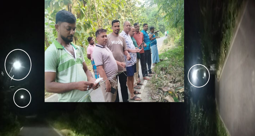 সবুজ সংঘ
